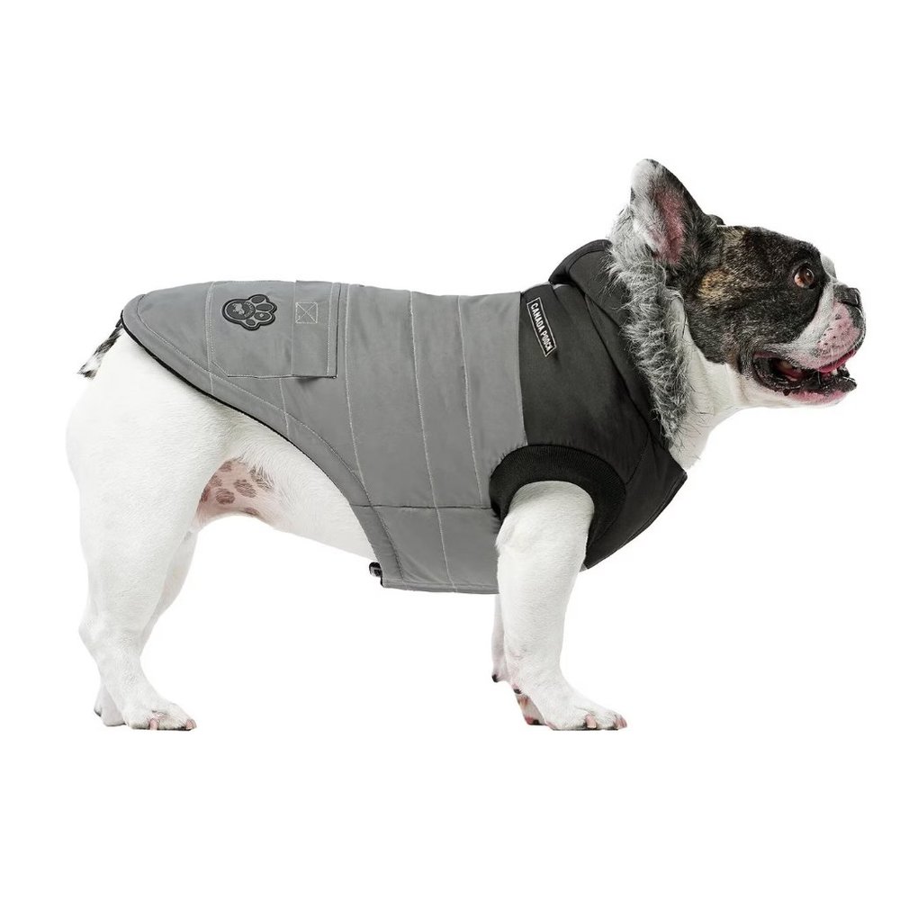 Canada Pooch True North Insulated Dog Parka